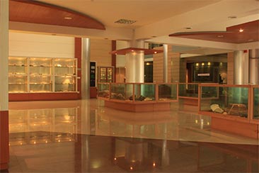 S. P. Nautiyal Museum