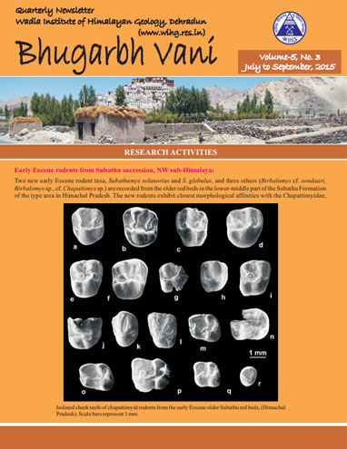 Vol 5.3 - 2015